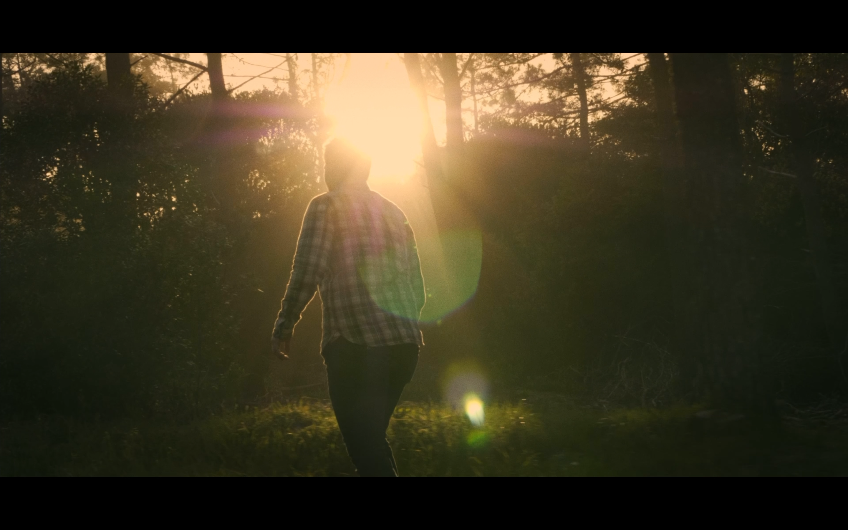 Showreel | 2021