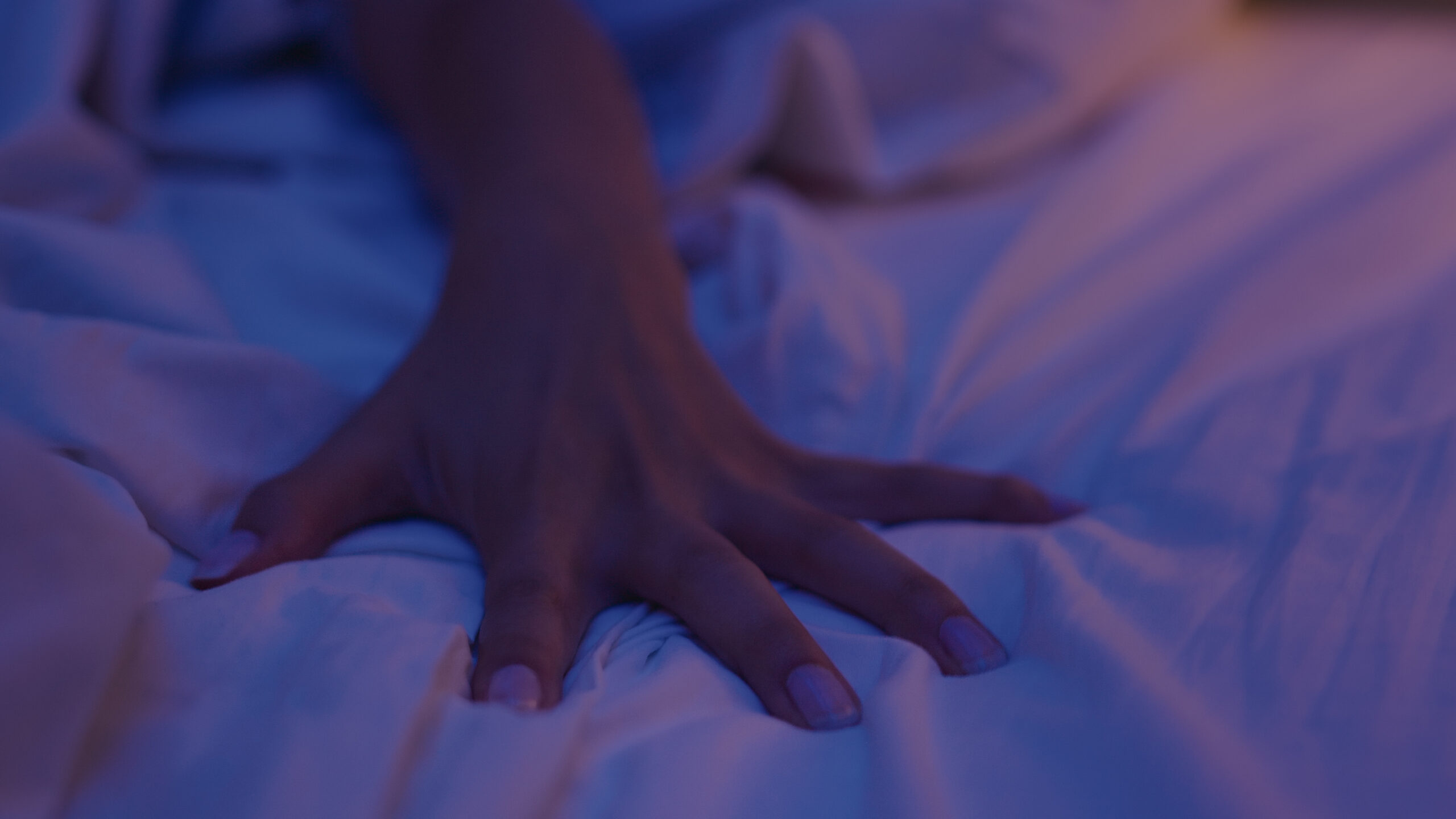 Escritório_Still_2
